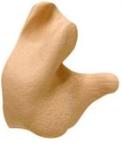 CEP001-T